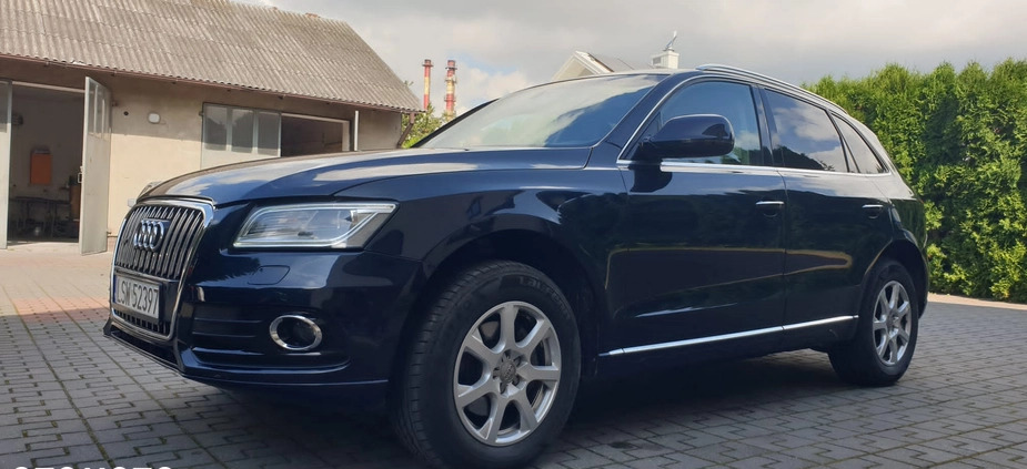 Audi Q5 cena 77000 przebieg: 119000, rok produkcji 2015 z Świdnik małe 56